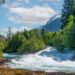 A photo of a fast-moving river and trees