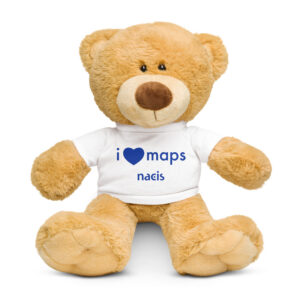 9.5 Inch Tall Teddy bear with NACIS t-shirt